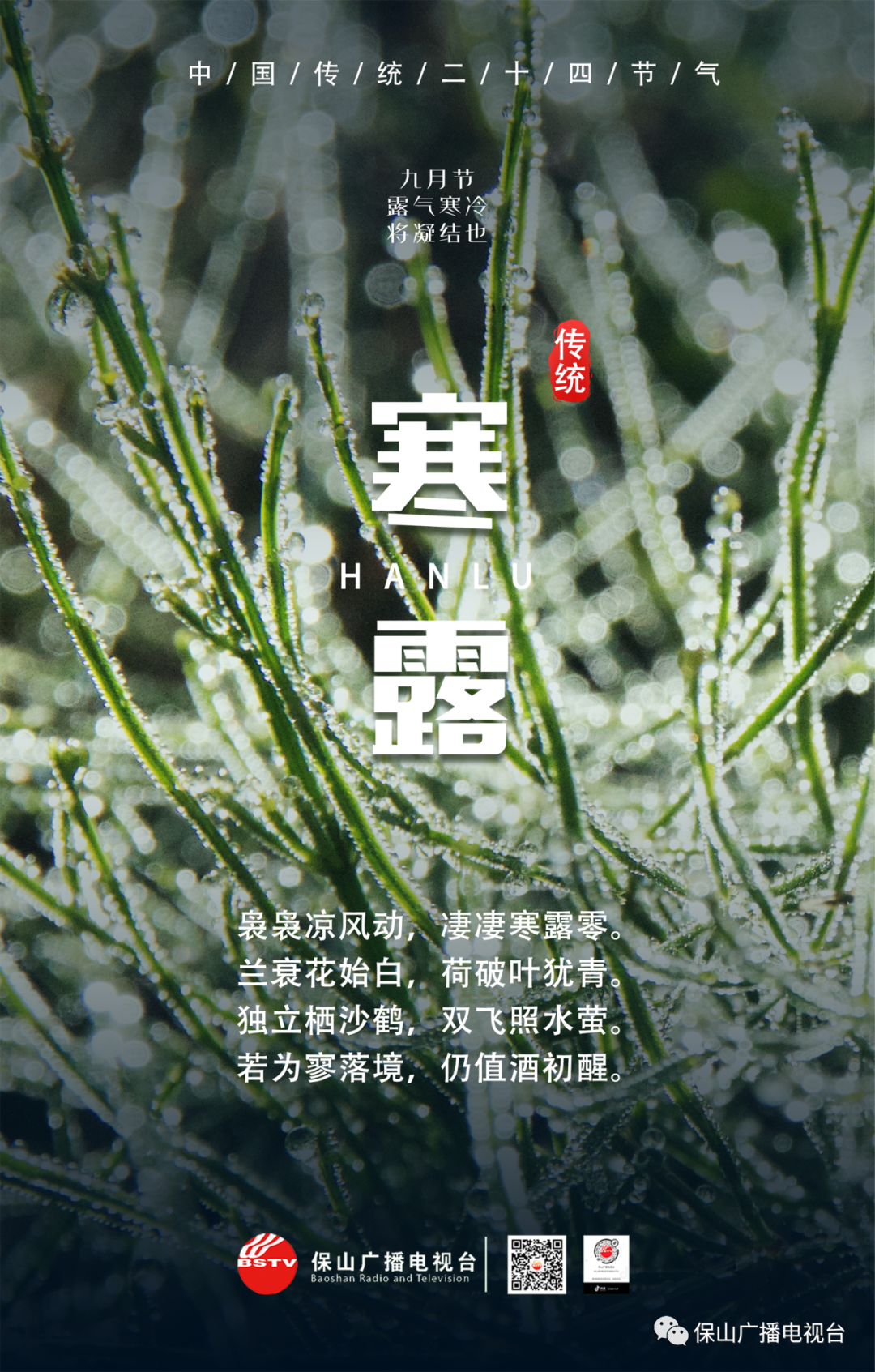 保山广播电视台(微信)