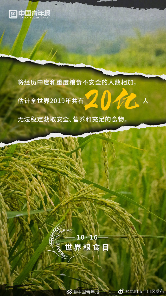 “昆明市西山区发布”微博