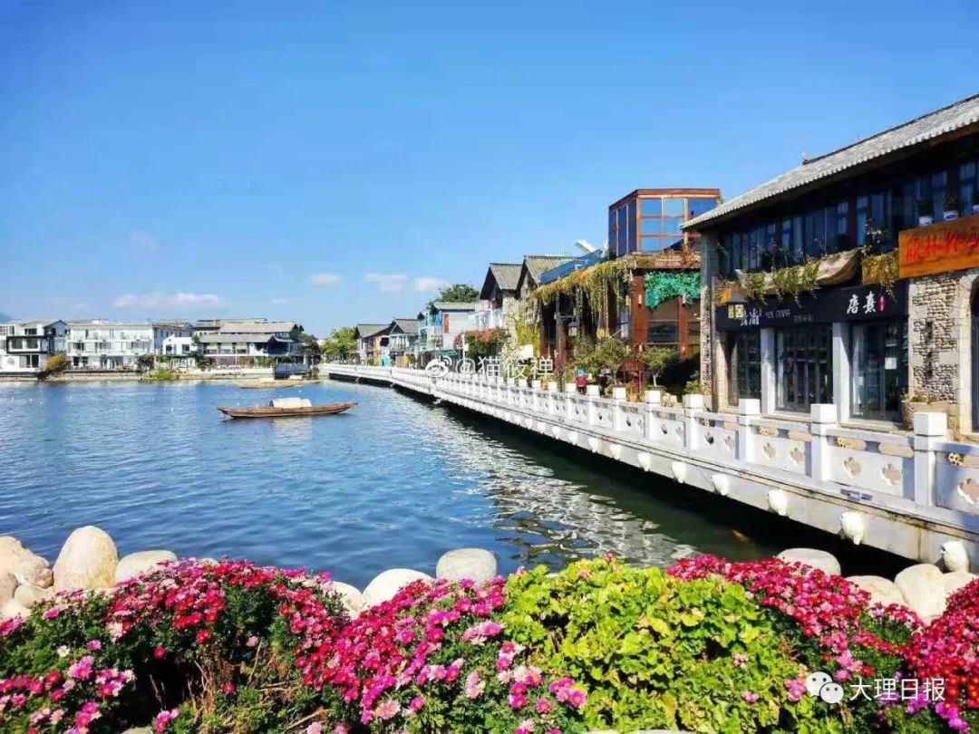 大理日报(微信)