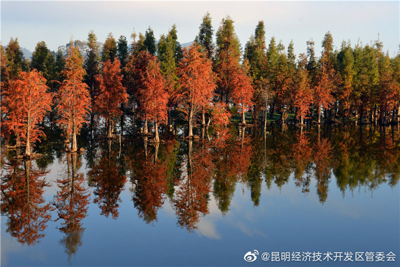 “昆明经济技术开发区管委会”微博