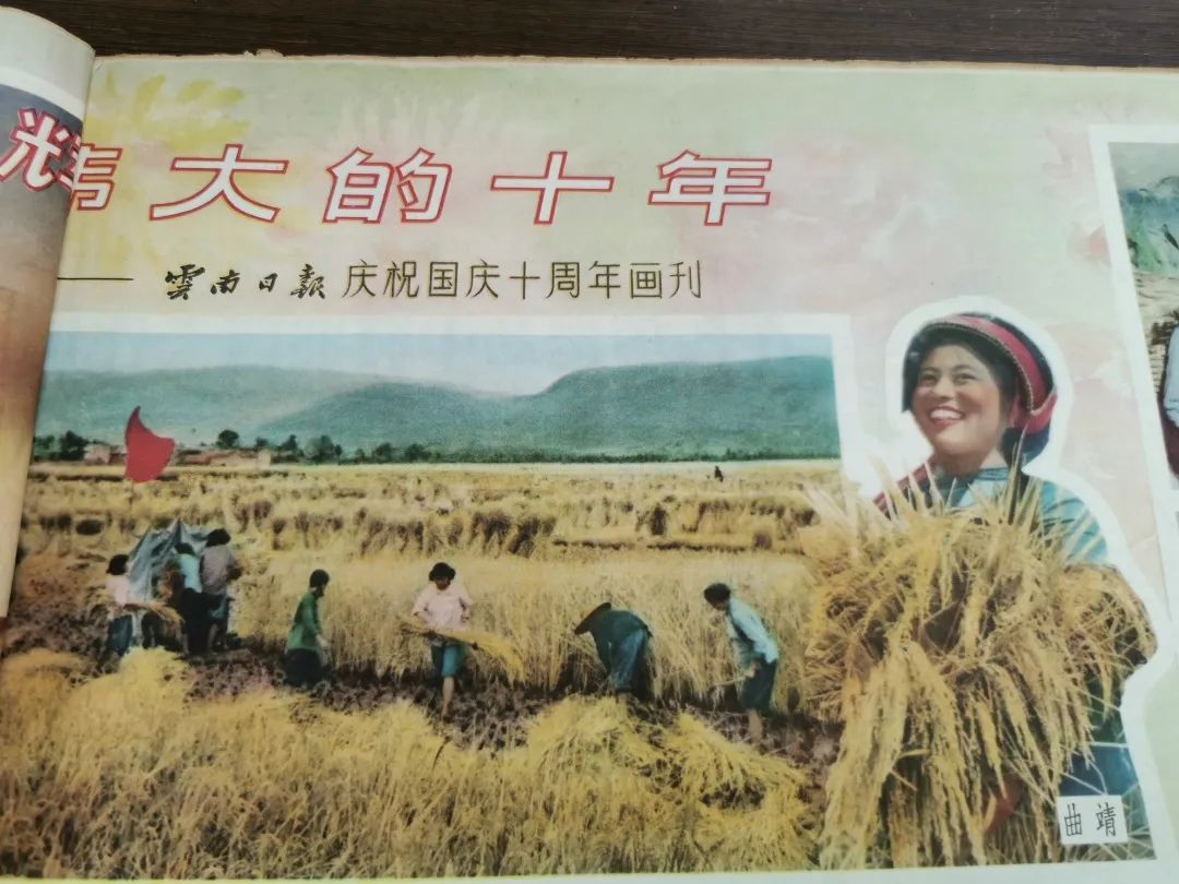 云南省图书馆(微信)