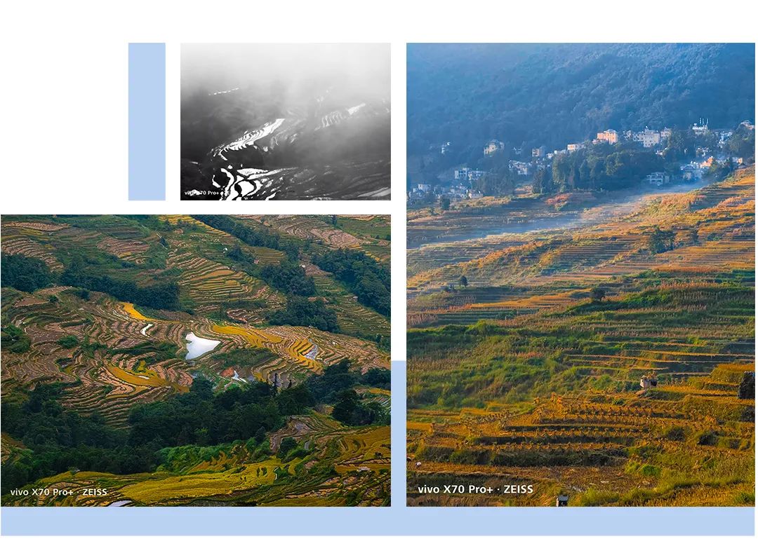 春城晚报(微信)