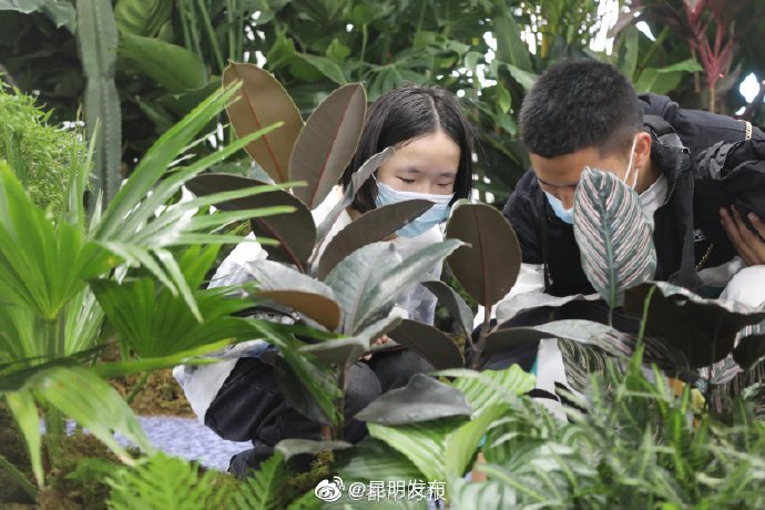 “昆明发布”微博