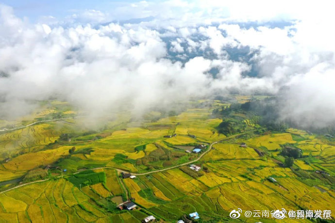 “云南发布”微博