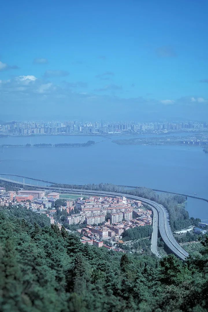 春城晚报(微信)