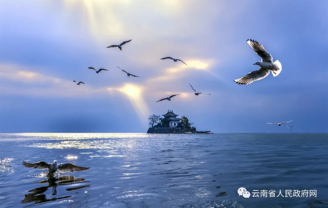 云南省人民政府网