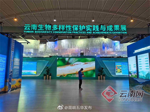 “昆明五华发布”微博