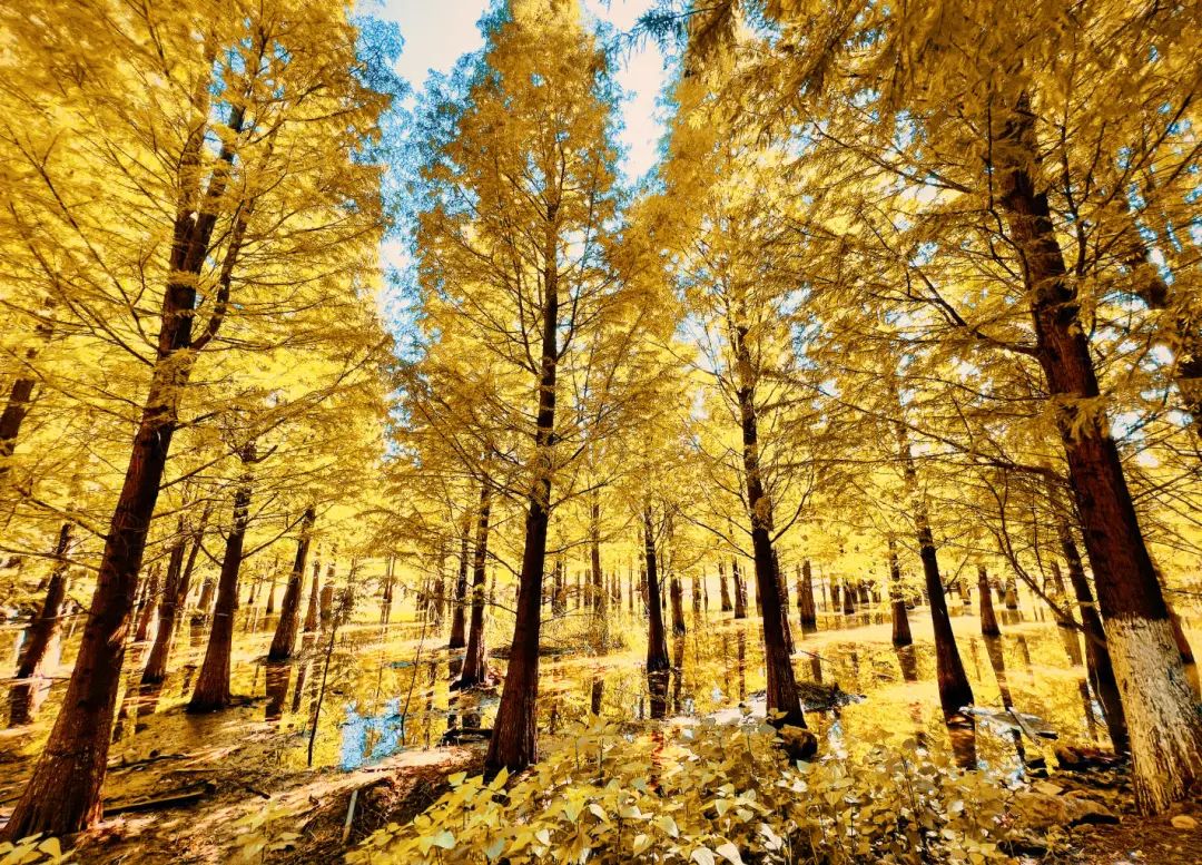 昆明滇池国家旅游度假区管理委员会(微信)