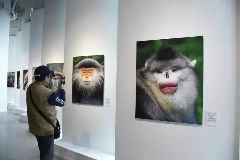 丽江日报(微信)