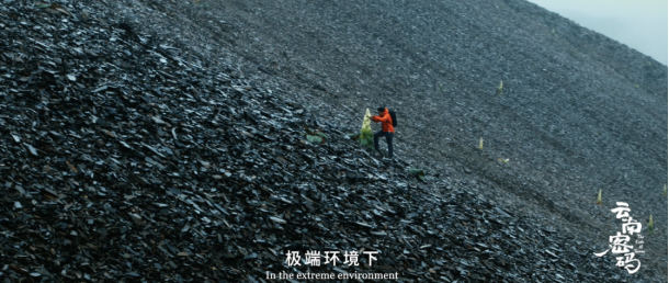 玉溪发布(微信)
