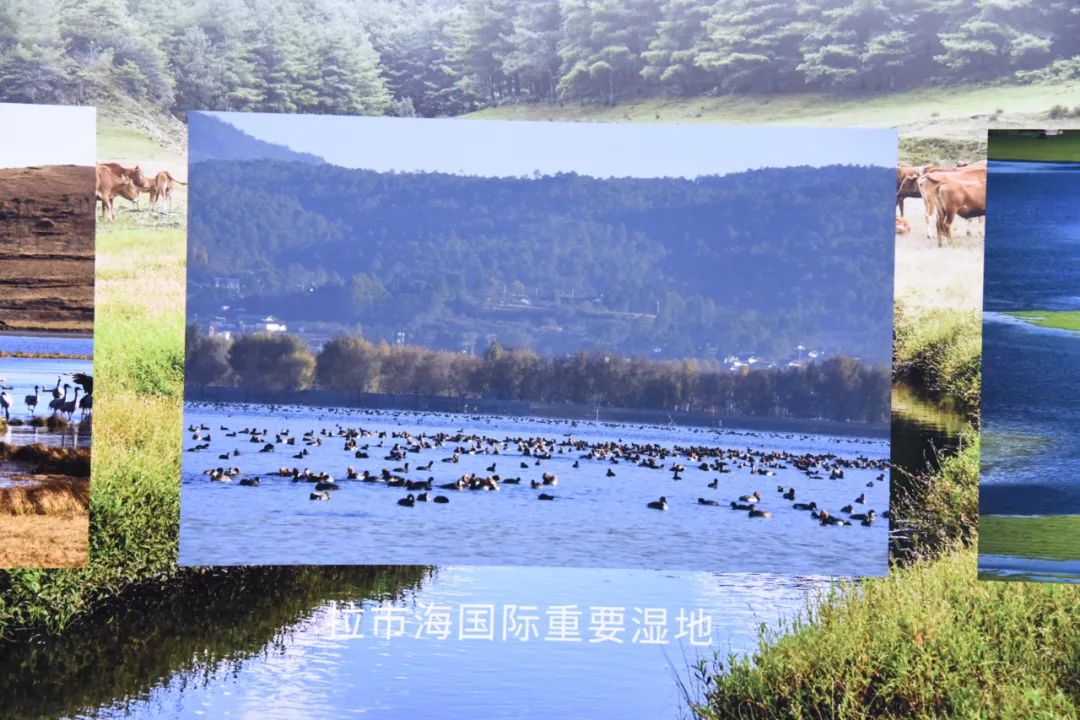 丽江日报(微信)