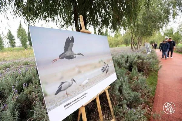 盘龙共青团(微信)