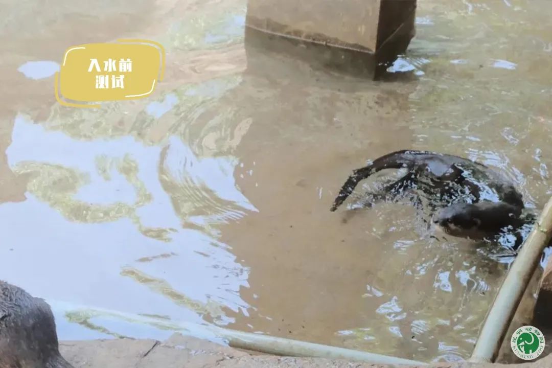 昆明动物园