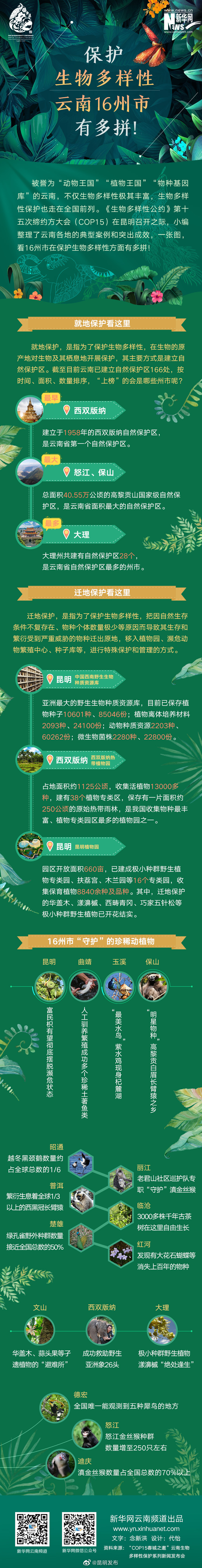 图解｜保护生物多样性 云南16州市有多拼！