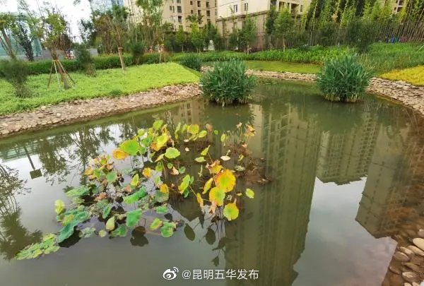 “昆明五华发布”微博