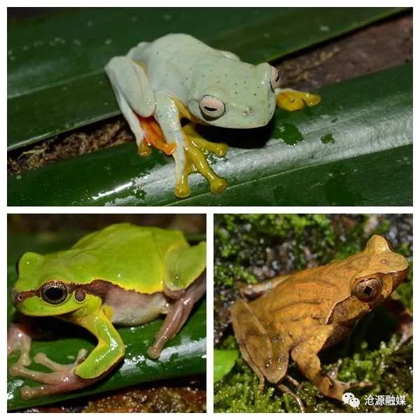 云南广播电视台(微信)