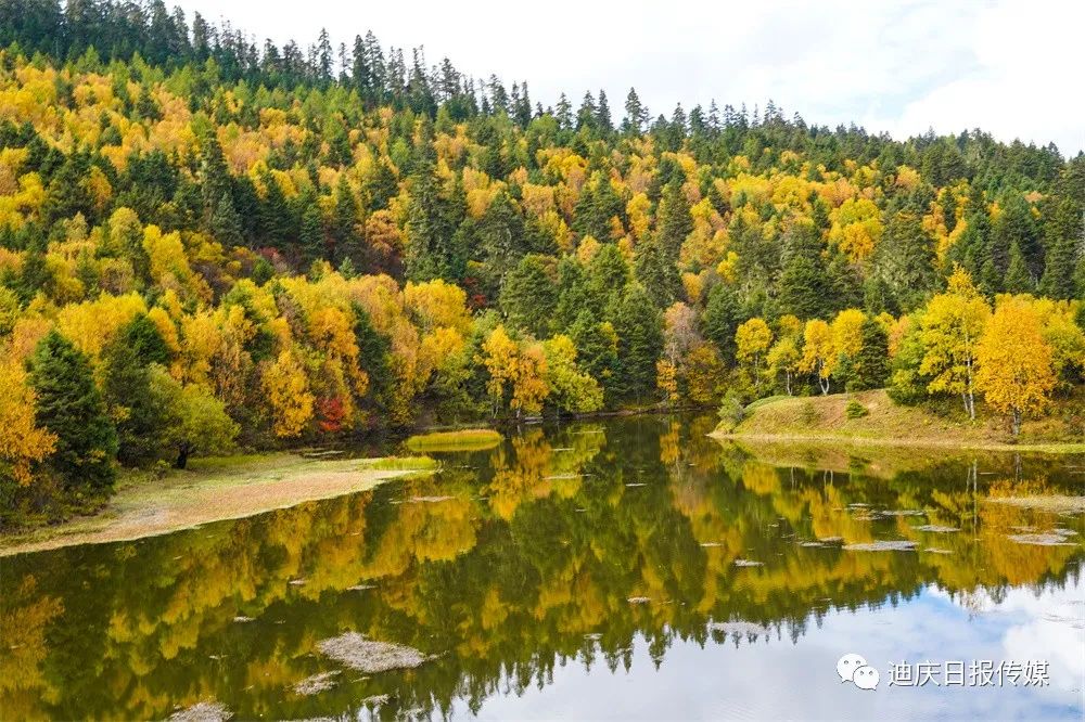 迪庆日报传媒(微信)