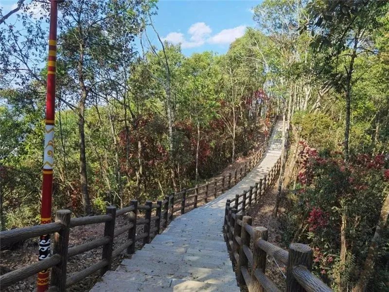 普洱日报(微信)