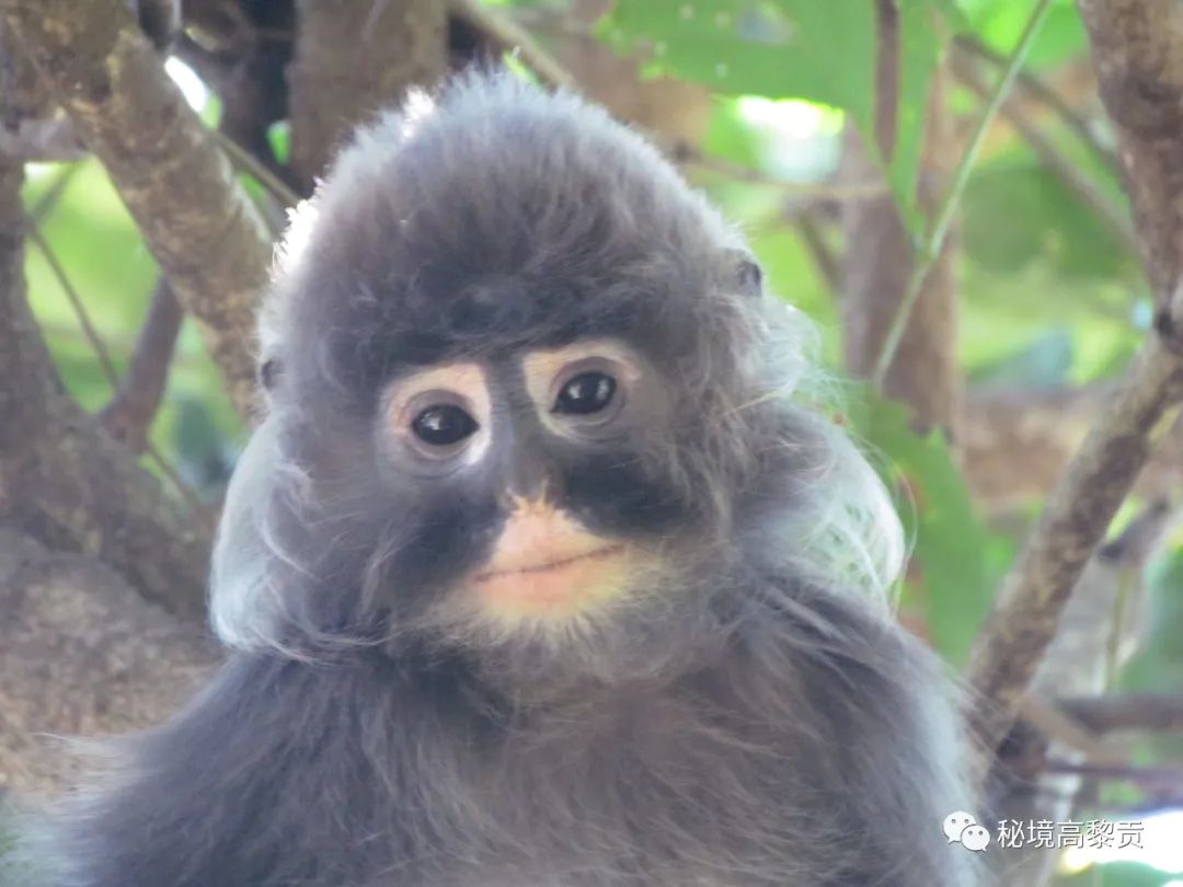 云南广播电视台(微信)