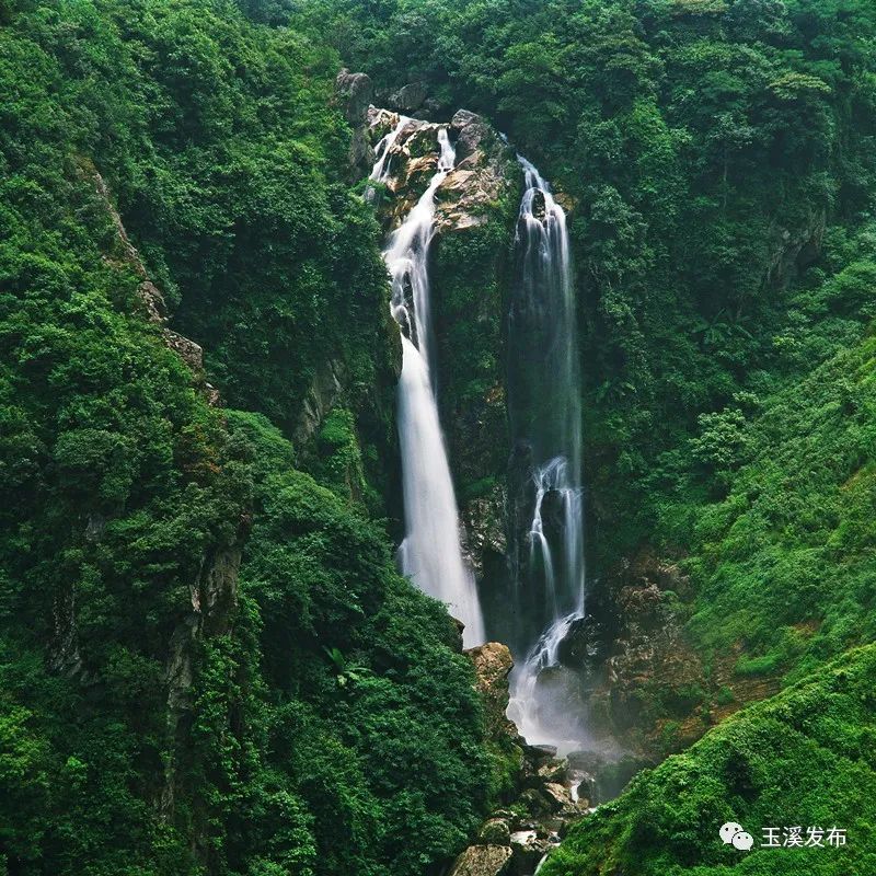 玉溪发布(微信)