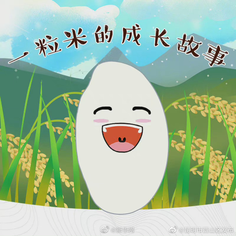 “昆明市西山区发布”微博