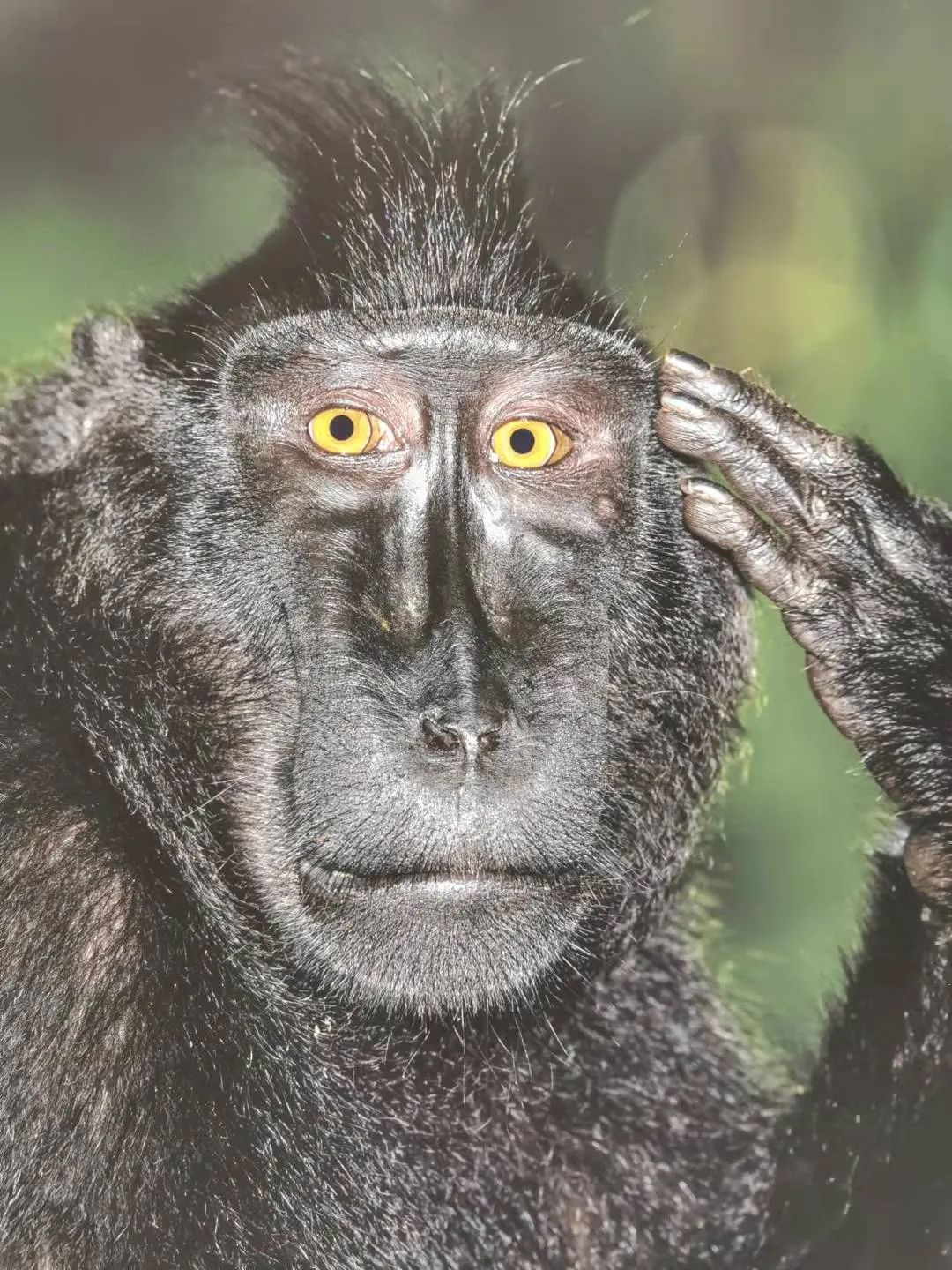 丽江日报(微信)