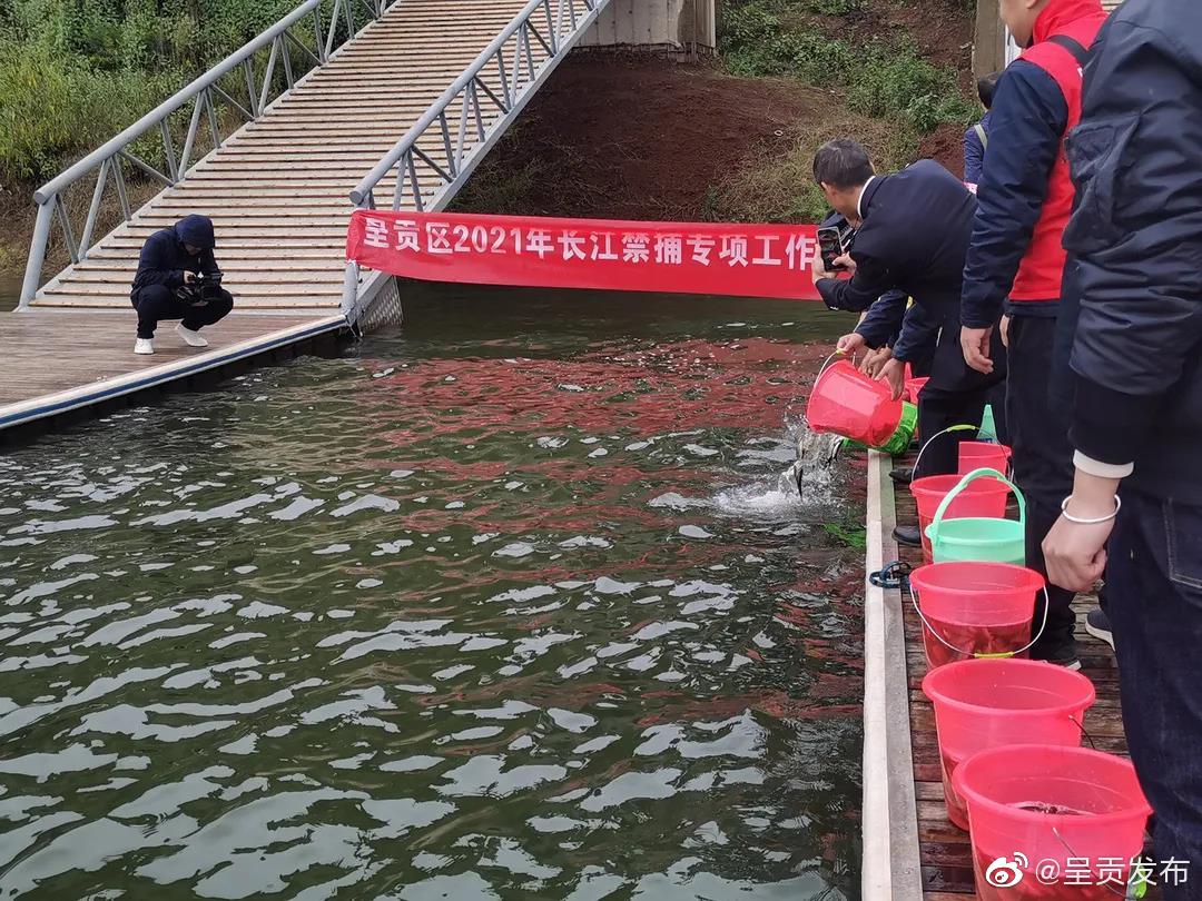 呈贡发布