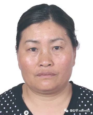 掌上春城(微信)