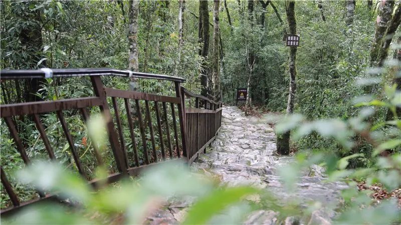 红河文旅(微信)