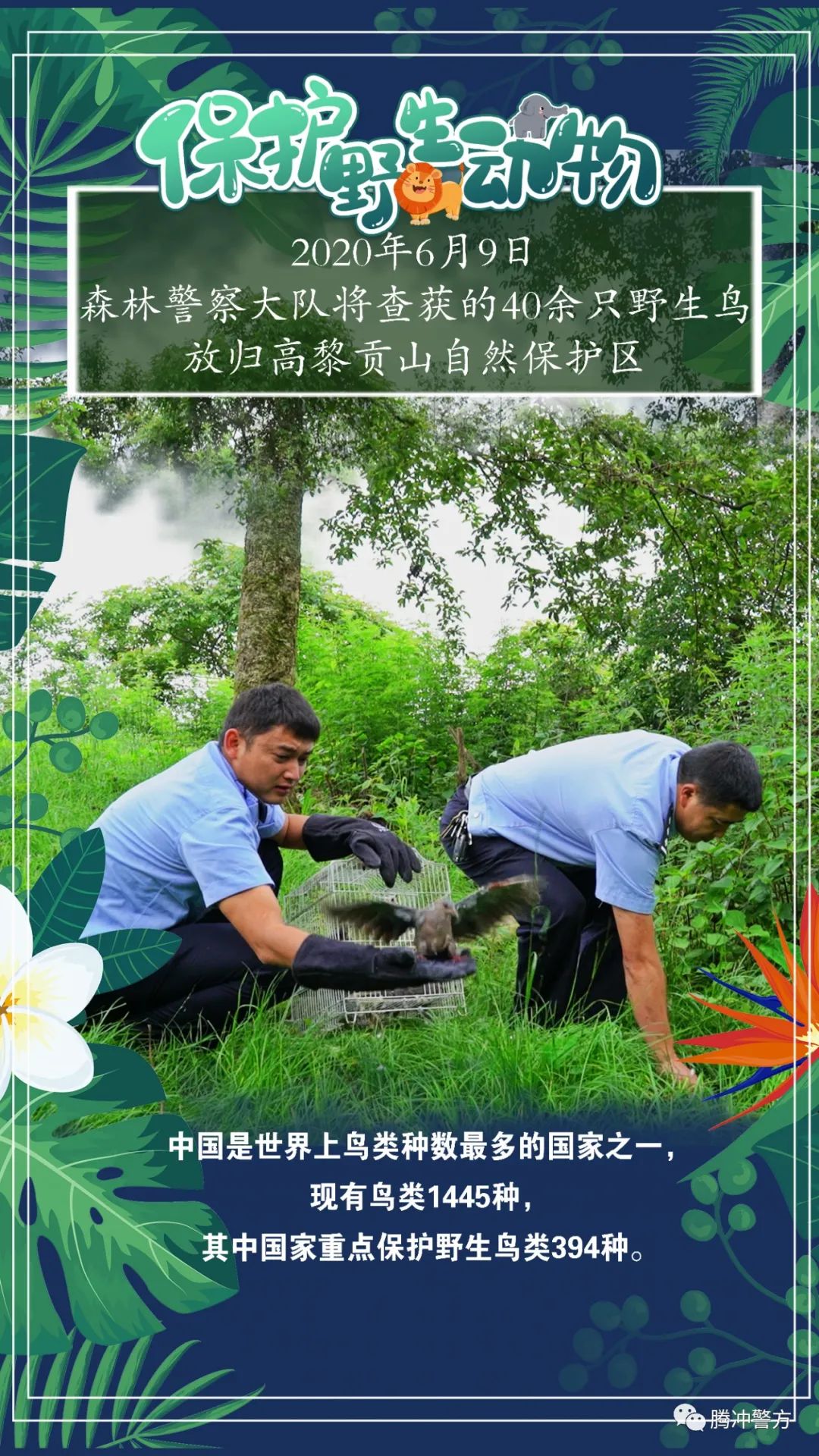 保山新闻网(微信)
