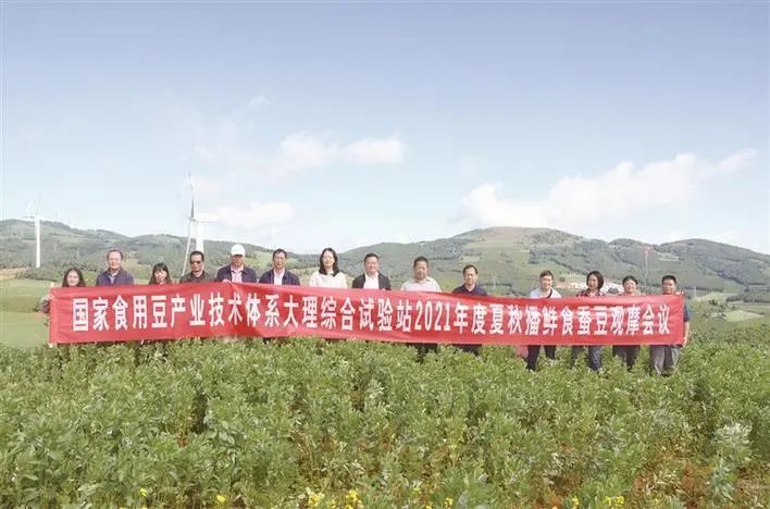 大理日报(微信)