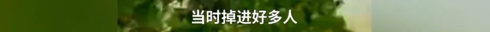 春城晚报(微信)
