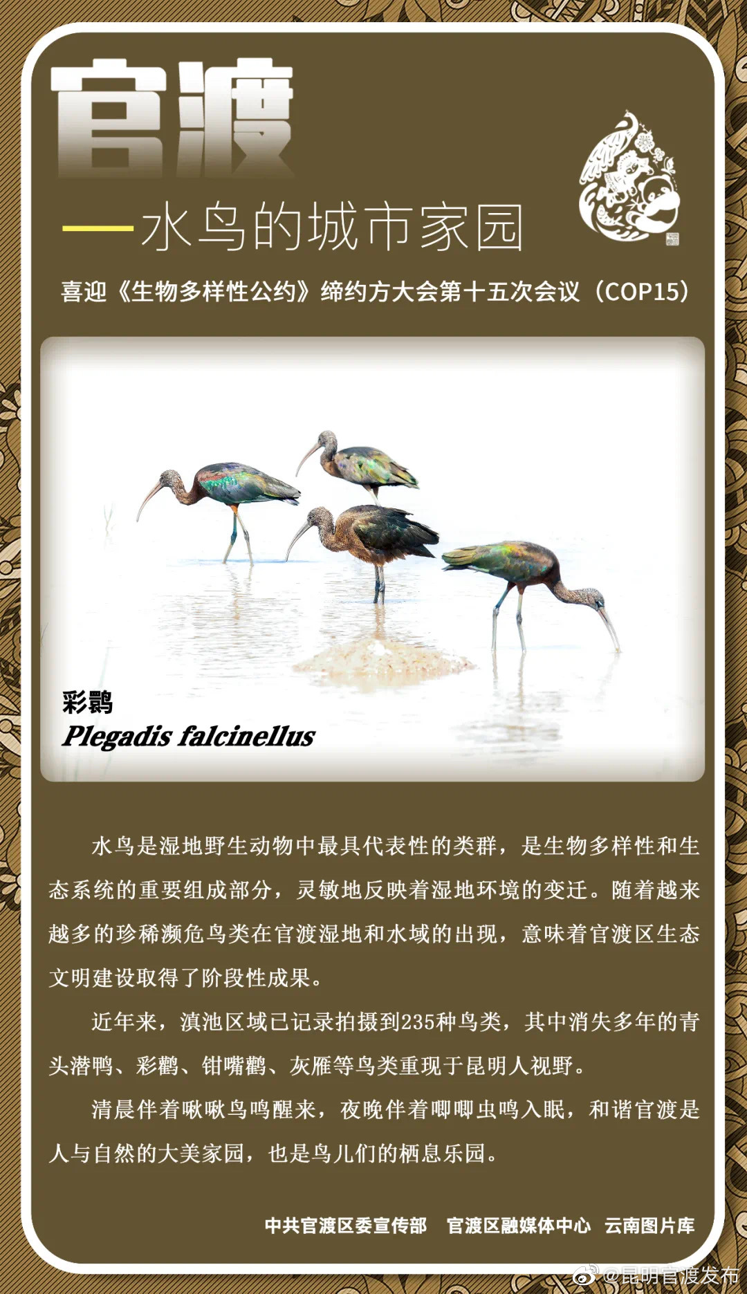 海报