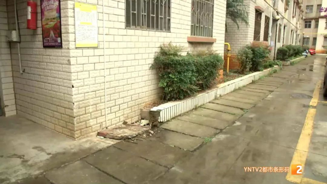 春城晚报(微信)