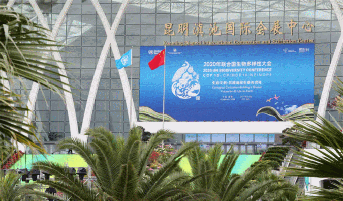 玉溪发布(微信)