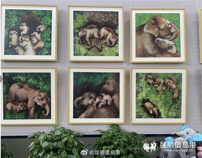 昆明信息港