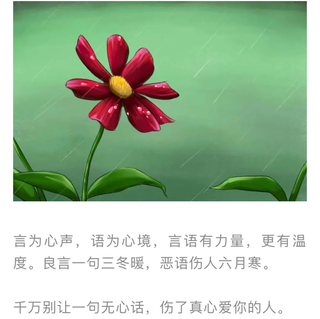 红色扎西(微信)