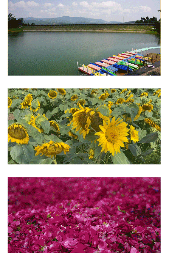 昆明发布(微信)