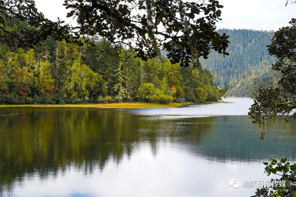 迪庆日报传媒(微信)