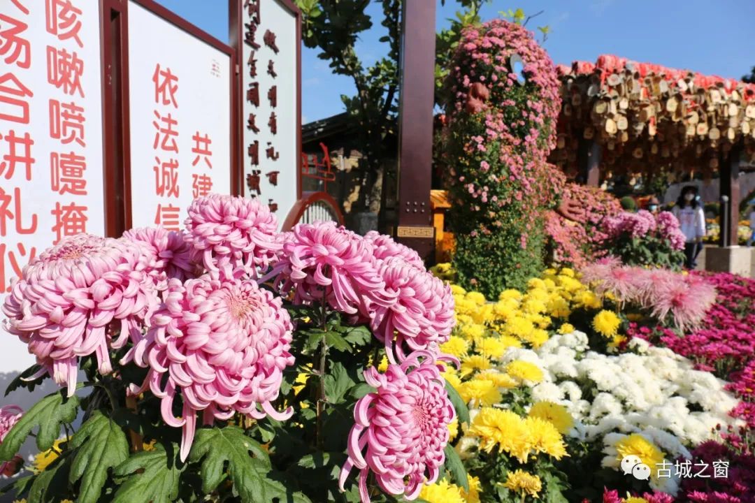 丽江日报(微信)