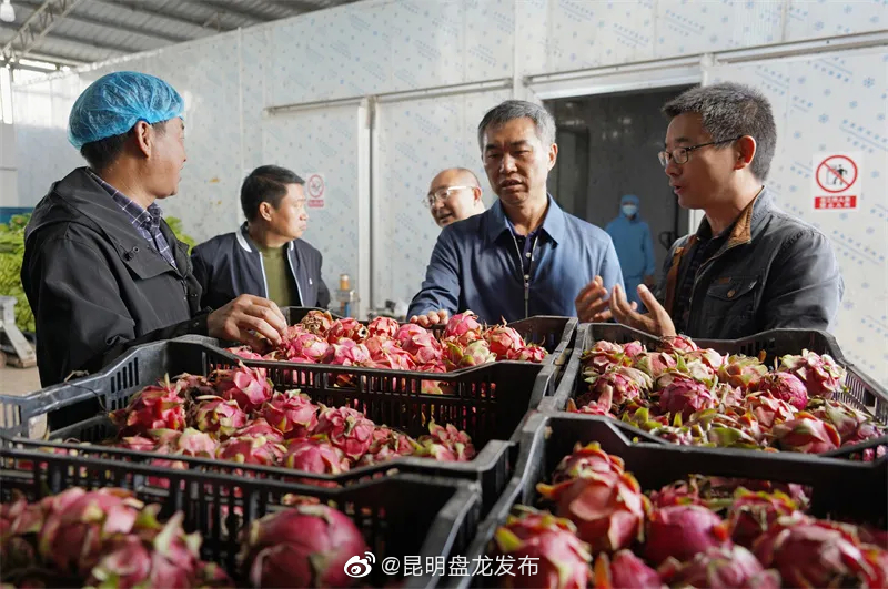 昆明盘龙发布