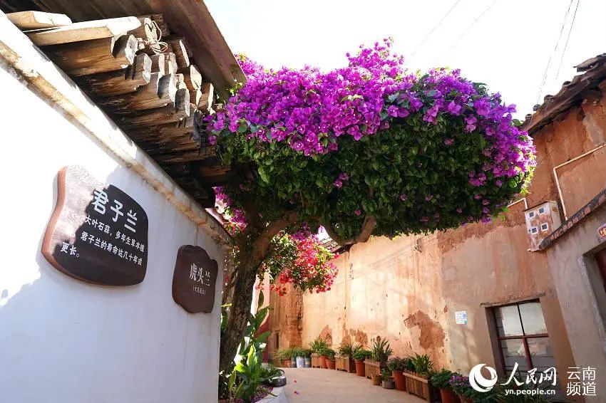 昆明市农业农村局