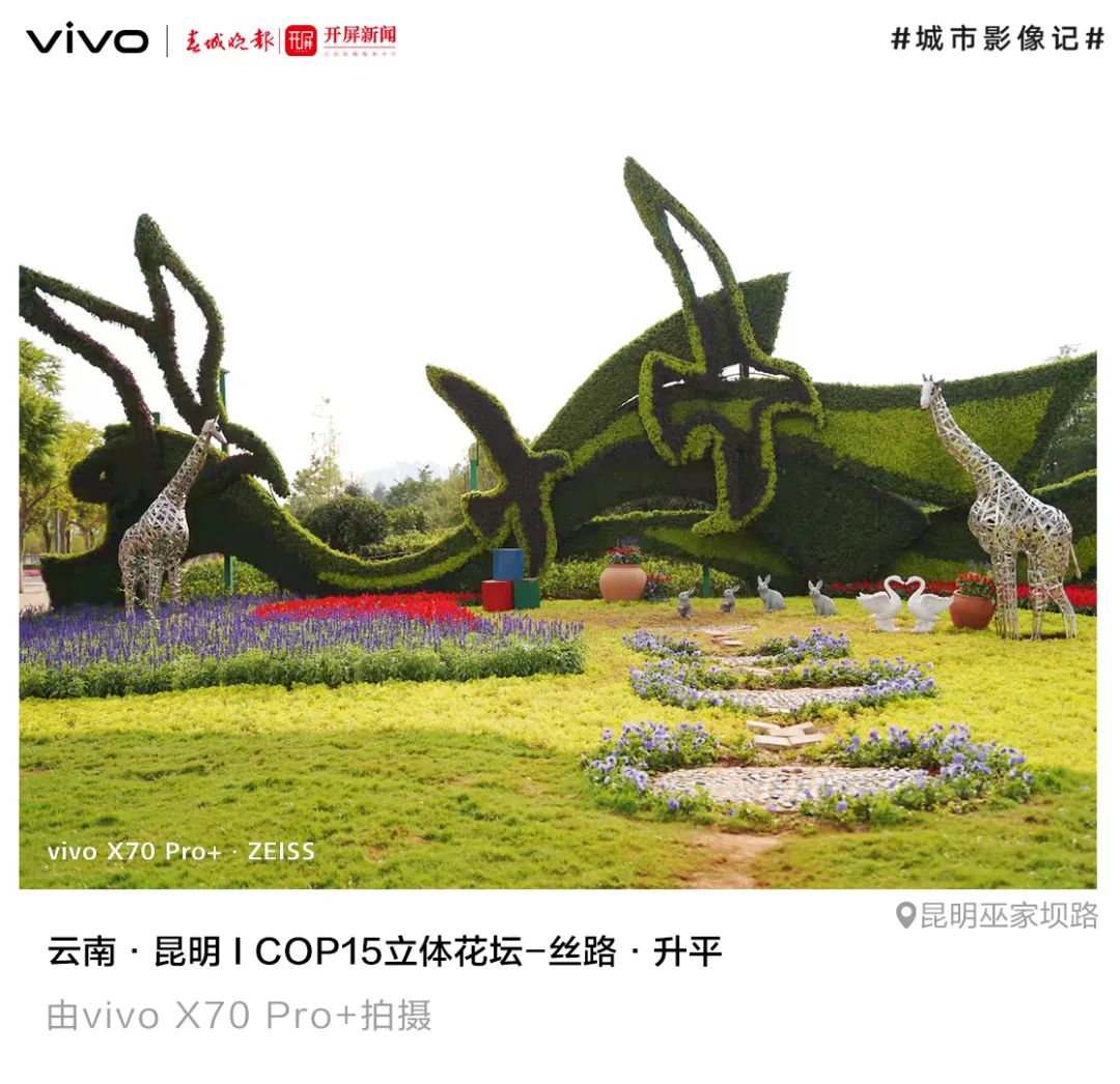 春城晚报(微信)