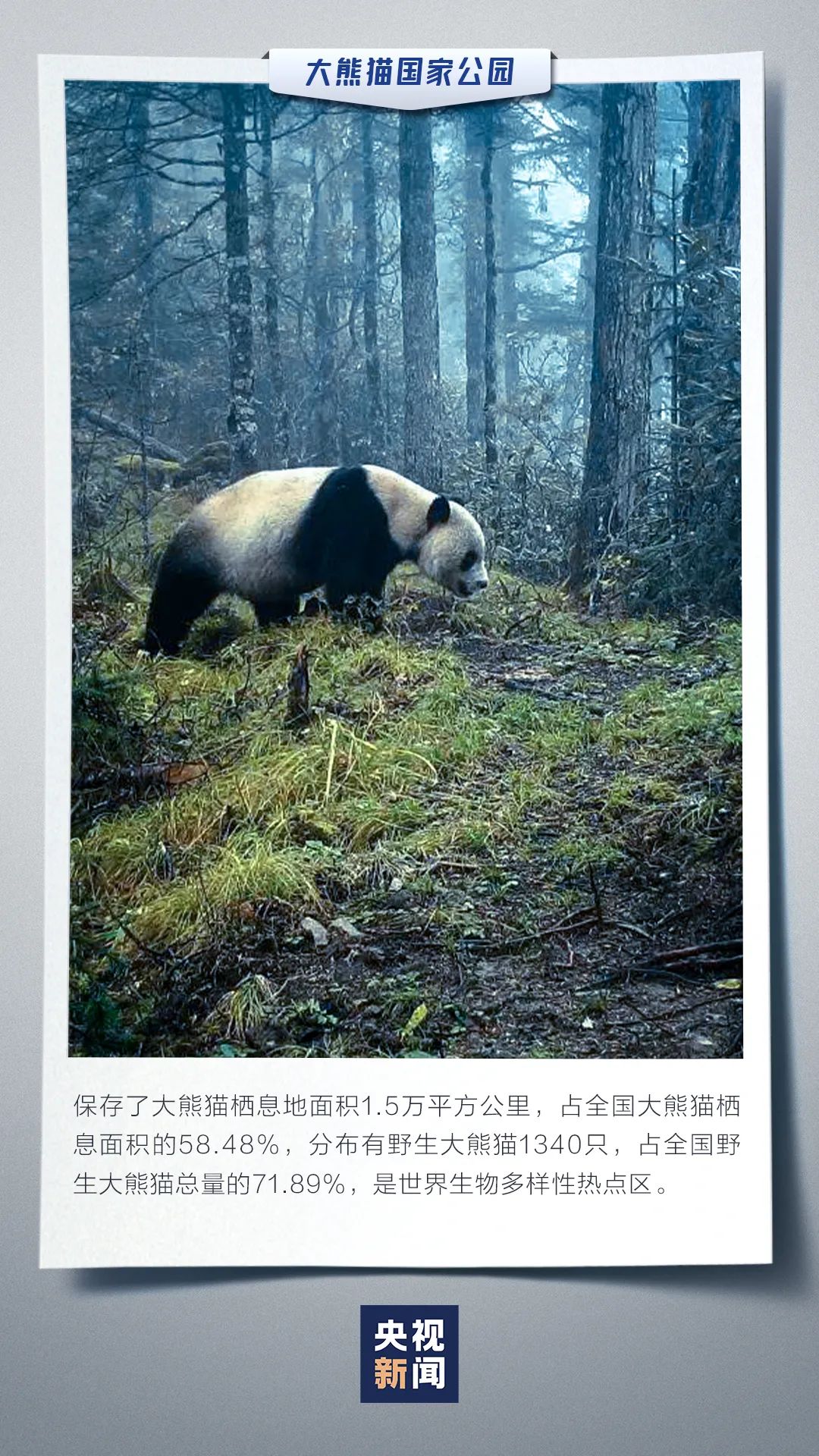 云南依法治省(微信)