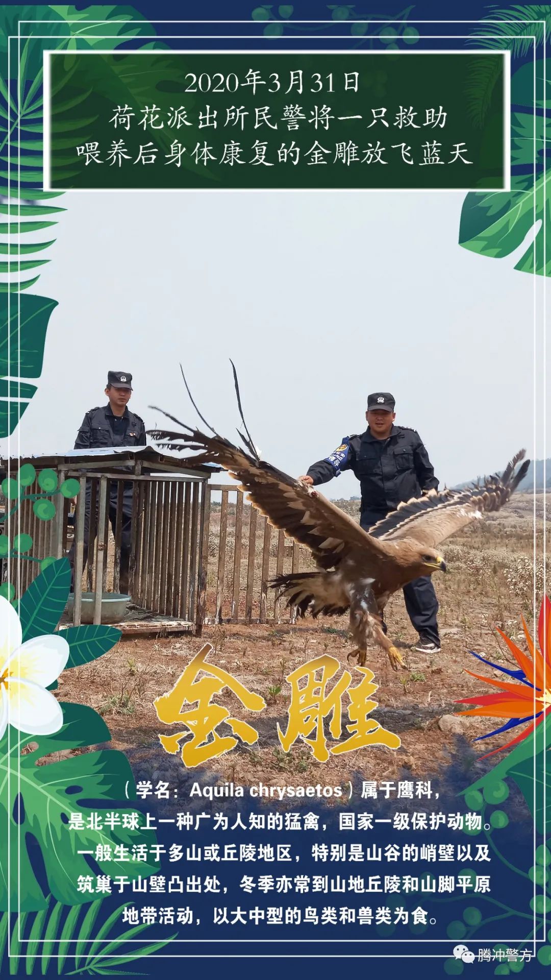 保山新闻网(微信)