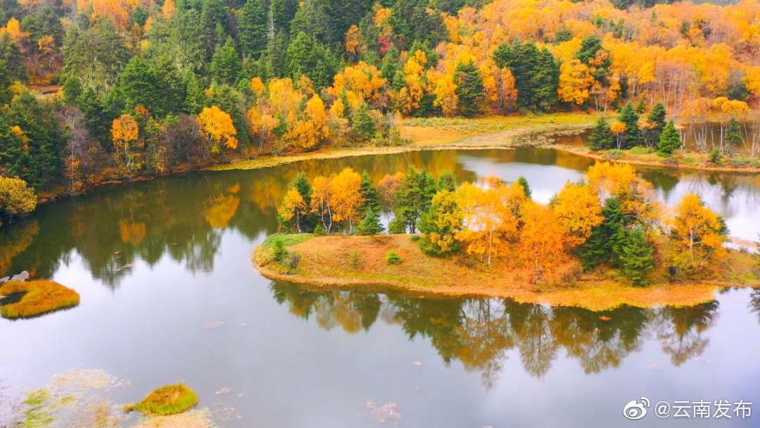 “云南发布”微博