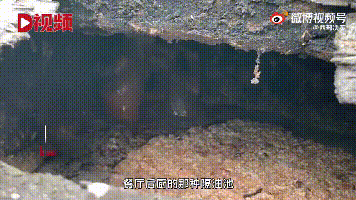 春城晚报(微信)