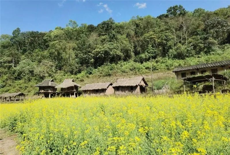 普洱日报(微信)