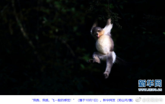 “云南发布”微博