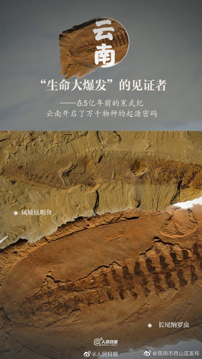 “昆明市西山区发布”微博